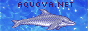 An animated banner with Ecco reading 'aquova.net